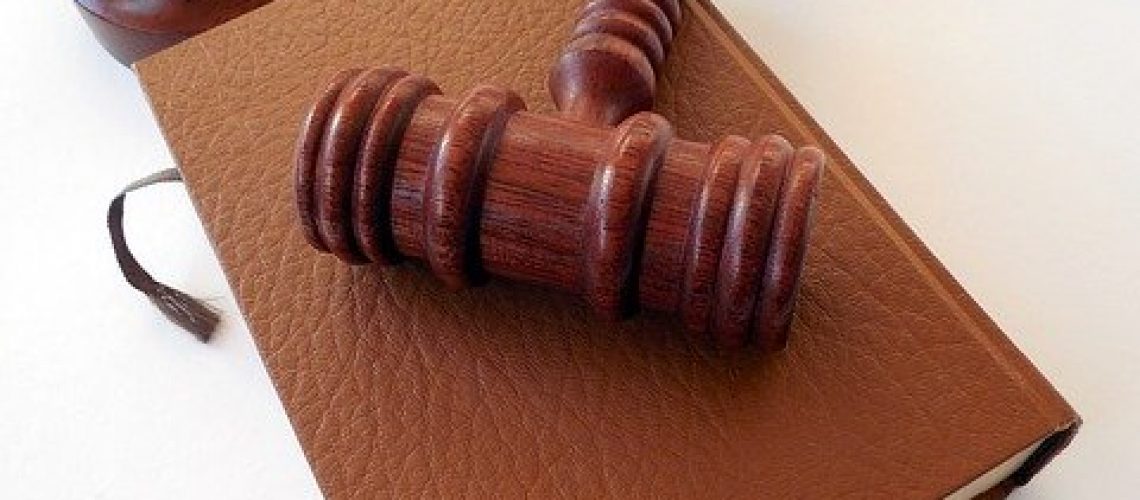 חיות גרינברג חיות גרינברג